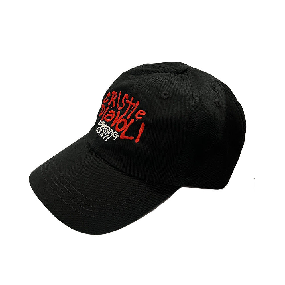 6 PANEL HAT