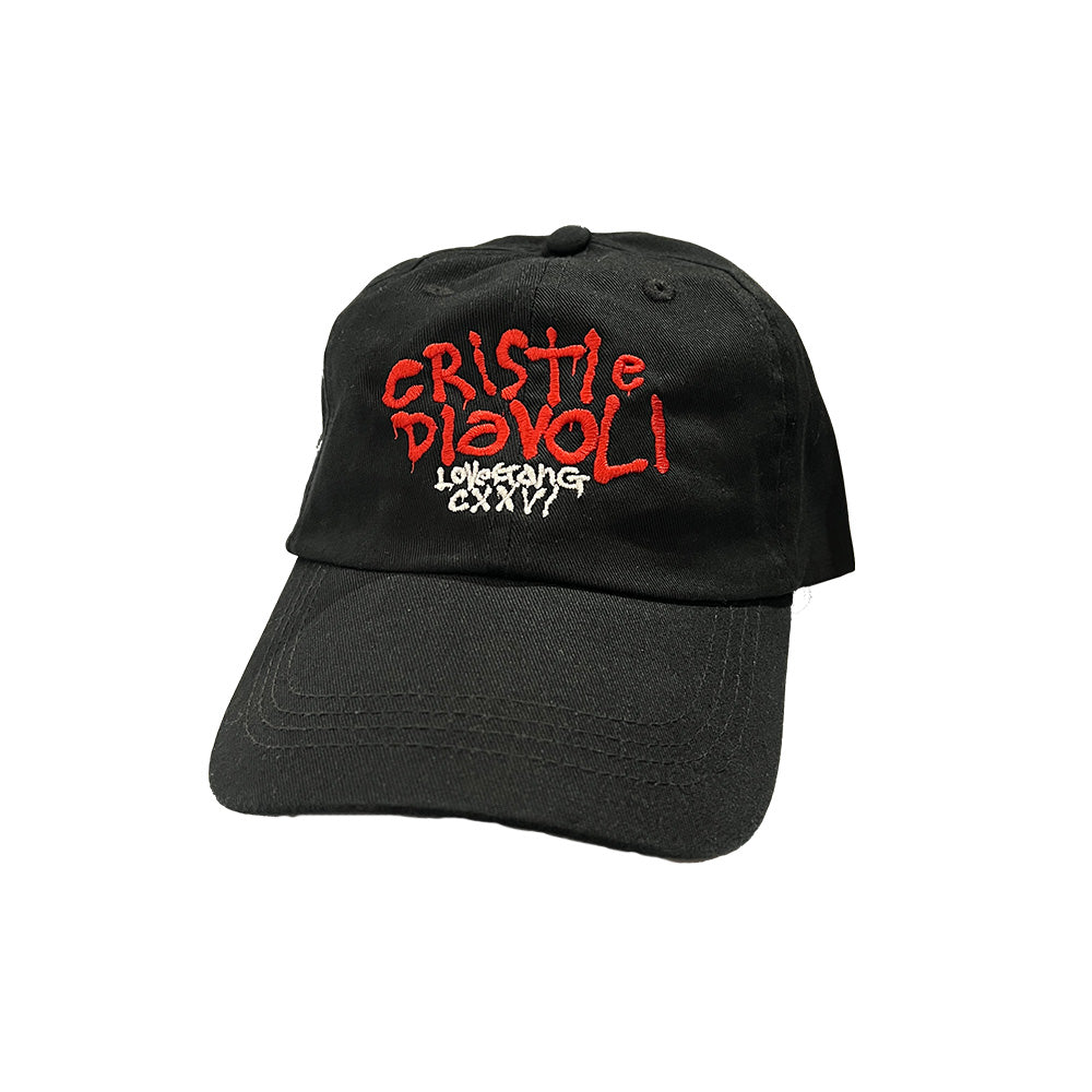 6 PANEL HAT